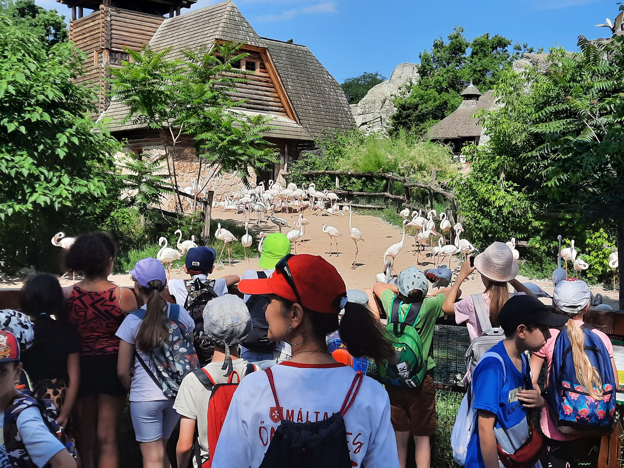 Kalandra fel! – A Budapesti Állatkertbe szerveztek látogatást a váci önkéntes csoport tagjai