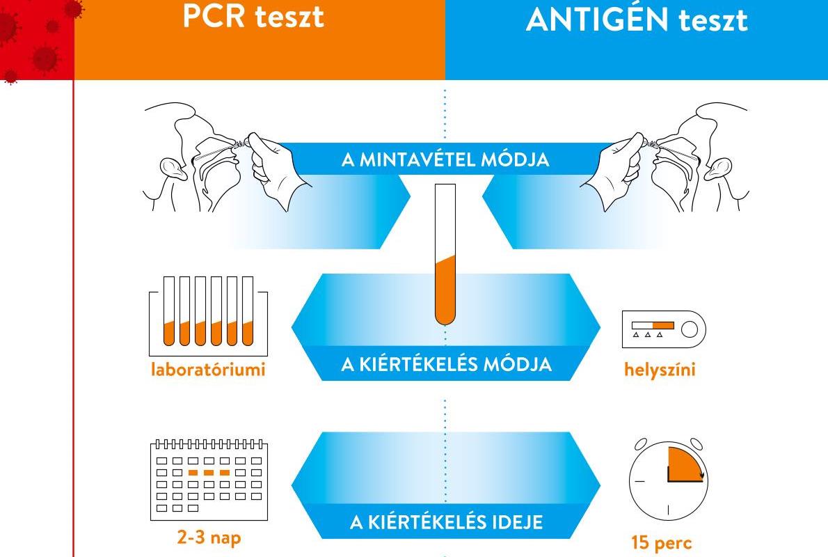 Mi a különbség az antigén és a PCR teszt között? (letölthető tájékoztató)